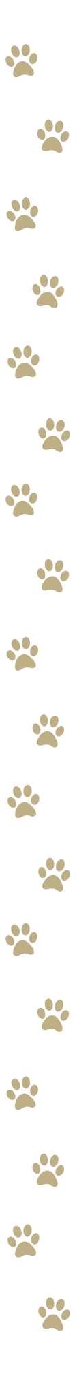 Elisa Furtado - Pet Pattern